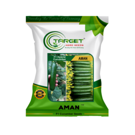 Aman