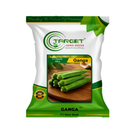 Ganga