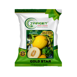 Gold Star