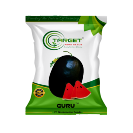 Guru