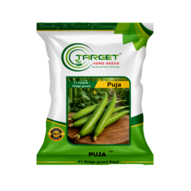 Puja