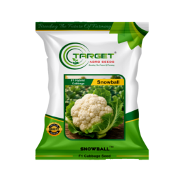 Snowball