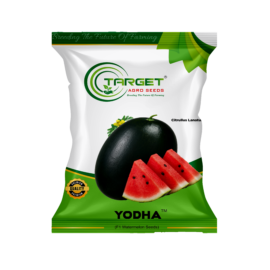Yodha